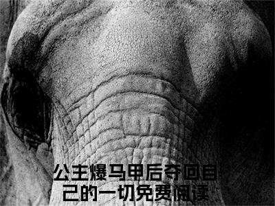 傅南鸢许元锦（公主爆马甲后夺回自己的一切）免费全文阅读小说_傅南鸢许元锦免费在线阅读（公主爆马甲后夺回自己的一切）小说最新章节列表