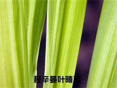 (番外)+(全文)程辛晏叶曦蓝全文小说免费下载阅读程辛晏叶曦蓝全文小说最新章节列表_笔趣阁（程辛晏叶曦蓝全文）