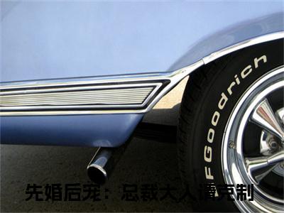 先婚后宠：总裁大人请克制（莫少离欧末）全文免费阅读无弹窗大结局_先婚后宠：总裁大人请克制（莫少离欧末）最新章节列表