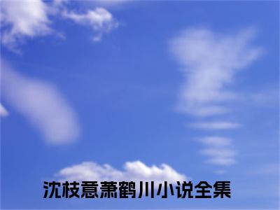 沈枝意萧鹤川后续+番外（沈枝意萧鹤川）全文免费阅读无弹窗大结局_沈枝意萧鹤川后续+番外免费阅读_笔趣阁（沈枝意萧鹤川后续+番外）