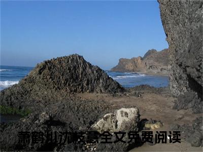 萧鹤川沈枝意小说（萧鹤川沈枝意全文完整版免费阅读）_萧鹤川沈枝意小说免费最新章节列表