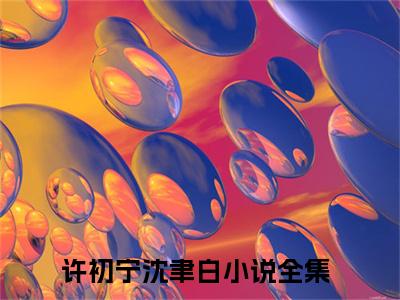 许初宁沈聿白小说免费阅读 许初宁沈聿白免费阅读无广告