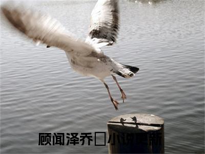 顾闻泽乔婳免费阅读（顾闻泽乔婳）全文免费阅读无弹窗大结局_顾闻泽乔婳免费阅读最新章节列表_笔趣阁（顾闻泽乔婳）