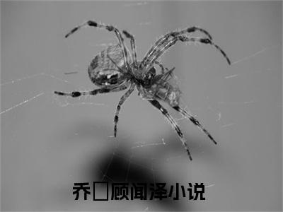 乔婳顾闻泽小说（乔婳顾闻泽）免费阅读全文无弹窗大结局_乔婳顾闻泽免费阅读无弹窗小说_小说笔趣阁