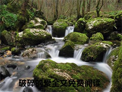 破碎的爱（宋铭宴孟伊宁）全文无弹窗阅读-破碎的爱（宋铭宴孟伊宁）最新章节完整版阅读