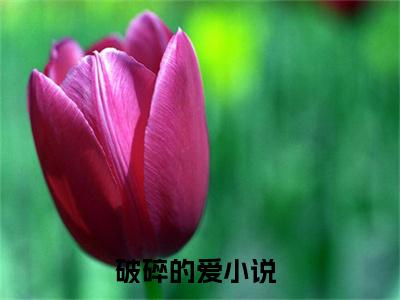 宋铭宴孟伊宁抖音新上免费热文破碎的爱完结免费阅读无弹窗
