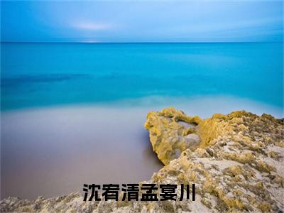 抖音热推新书沈宥清孟宴川-抖音热推沈宥清孟宴川无弹窗阅读