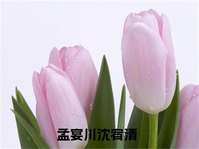 孟宴川沈宥清（孟宴川沈宥清）全集免费阅读无弹窗_孟宴川沈宥清正版小说免费阅读