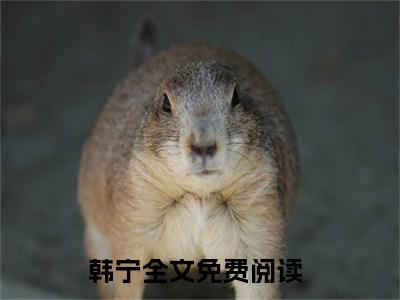 高武：别人修炼我躺平，呼吸变强我最行！韩宁免费小说韩宁全文无弹窗完整版阅读