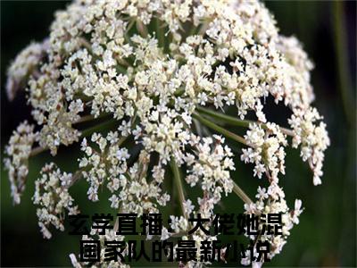 玄学直播：大佬她混国家队的（云笙）全文免费阅读无弹窗大结局_玄学直播：大佬她混国家队的免费阅读无弹窗最新章节列表_笔趣阁