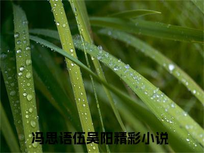 冯思语伍吴阳免费阅读（冯思语伍吴阳）全文免费阅读无弹窗大结局_冯思语伍吴阳免费阅读最新章节列表_笔趣阁（冯思语伍吴阳）