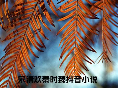 (热推新书)（宋清欢秦时臻）全文免费阅读无弹窗大结局-宋清欢秦时臻全文阅读无弹窗