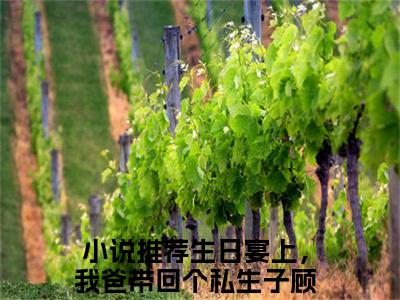 生日宴上，我爸带回个私生子顾永澜满分小说全章节_生日宴上，我爸带回个私生子顾永澜下拉式阅读_笔趣阁