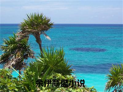余伊商盛全文免费阅读大结局_余伊商盛已完结全集余伊商盛大结局小说