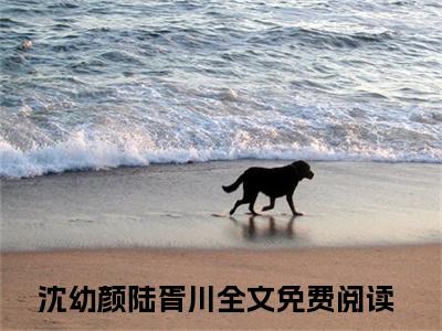 沈幼颜陆胥川小说（沈幼颜陆胥川）全文免费阅读无弹窗大结局_沈幼颜陆胥川最新章节列表_笔趣阁