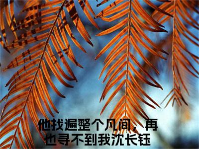 他找遍整个凡间，再也寻不到我沈长钰无弹窗热文在线阅读-他找遍整个凡间，再也寻不到我沈长钰小说在哪里可以看