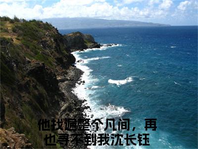 他找遍整个凡间，再也寻不到我沈长钰（他找遍整个凡间，再也寻不到我沈长钰）全文免费阅读无弹窗_他找遍整个凡间，再也寻不到我沈长钰最新小说_笔趣阁（他找遍整个凡间，再也寻不到我沈长钰）