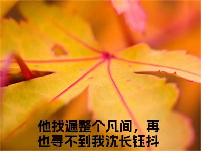 他找遍整个凡间，再也寻不到我沈长钰(他找遍整个凡间，再也寻不到我沈长钰)全文免费阅读无弹窗大结局_他找遍整个凡间，再也寻不到我沈长钰章节列表