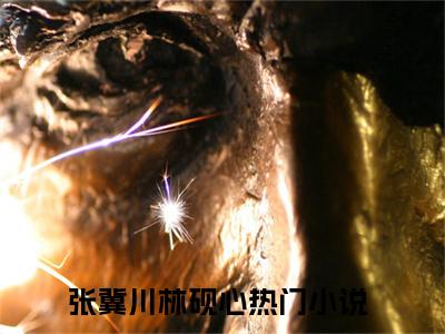 【新书】张冀川林砚心全文全章节免费阅读-张冀川林砚心 全文免费阅读无弹窗大结局