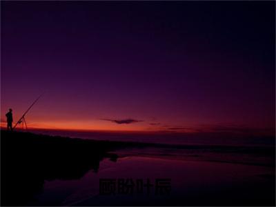 顾盼叶辰(顾盼叶辰)全文免费阅读无弹窗大结局_顾盼叶辰
