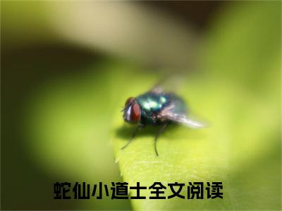 私藏读物蛇仙小道士免费观看-抖音热门蛇仙小道士(蛇仙小道士)最新章节阅读