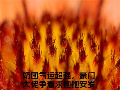 奶团气运超强，豪门大佬争着求抱抱安岁岁宝藏小说推荐奶团气运超强，豪门大佬争着求抱抱安岁岁-奶团气运超强，豪门大佬争着求抱抱安岁岁完整免费阅读小说