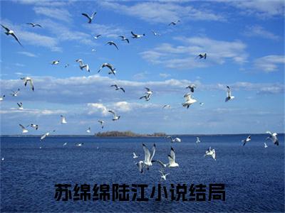 苏绵绵陆江（苏绵绵陆江）最新章节在线阅读-苏绵绵陆江小说苏绵绵陆江在哪里可以看