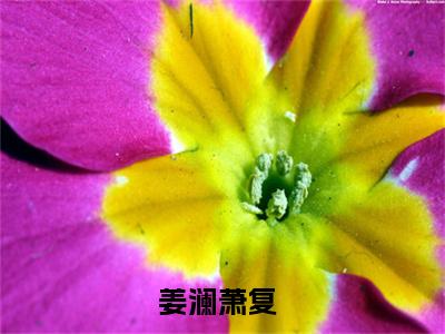 姜澜萧复（姜澜萧复）全文免费阅读无弹窗大结局_姜澜萧复全文大结局最新章节列表_笔趣阁