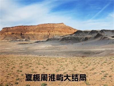 夏栀周淮屿（他等夏至）精彩小说-小说他等夏至全文无删减版免费阅读