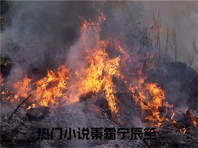 秦霜宁辰笙（秦霜宁辰笙）免费全文阅读小说_秦霜宁辰笙最新章节列表-笔趣阁（秦霜宁辰笙）