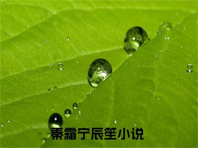 秦霜宁辰笙全文免费阅读无弹窗大结局-秦霜宁辰笙小说在哪里可以看