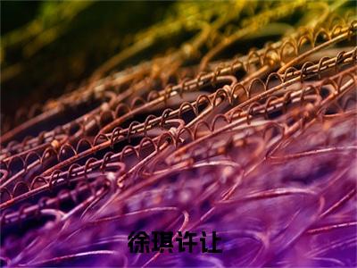 徐琪许让阅读无弹窗大结局_（徐琪许让阅读无弹窗）最新章节列表_笔趣阁
