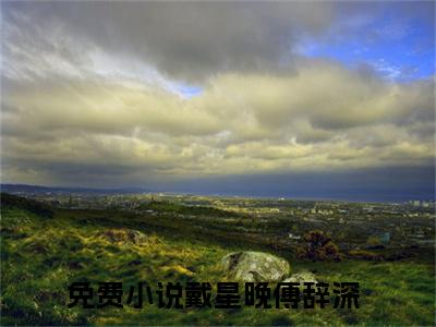 戴星晚傅辞深小说（戴星晚傅辞深）全文免费阅读无弹窗_戴星晚傅辞深全文免费阅读无弹窗最新章节列表笔趣阁（戴星晚傅辞深）