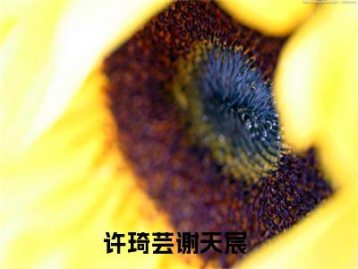 许琦芸谢天宸最新完结言情文-许琦芸谢天宸小说讲述的是什么许琦芸谢天宸