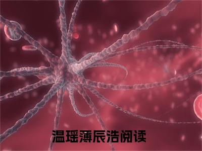 温瑶薄辰浩(温瑶薄辰浩小说）全文免费阅读无弹窗大结局_ 温瑶薄辰浩小说温瑶薄辰浩最新章节列表_笔趣阁（温瑶薄辰浩）