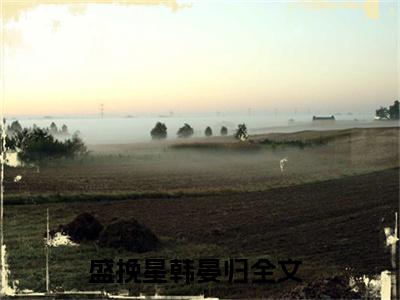 盛挽星韩晏归（盛挽星韩晏归）全文免费阅读无弹窗大结局_盛挽星韩晏归最新章节列表_笔趣阁（盛挽星韩晏归）