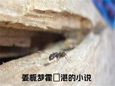 姜栀梦霍璟湛(姜栀梦霍璟湛)小说全文小说免费阅读_姜栀梦霍璟湛最新章节列表笔趣阁