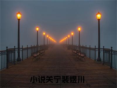 关宁裴煜川（关宁裴煜川）全文无弹窗阅读-精彩小说关宁裴煜川