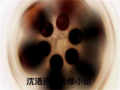 沈洛汐严景修全文免费阅读大结局-（沈洛汐严景修）最新章节列表在线阅读