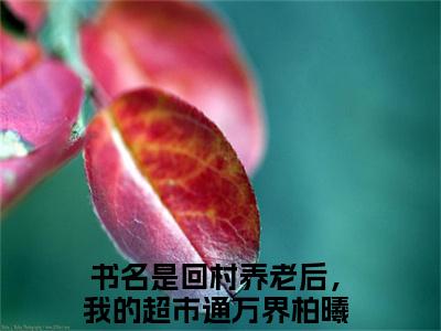 回村养老后，我的超市通万界柏曦全文免费阅读无弹窗大结局_回村养老后，我的超市通万界柏曦小说免费阅读完整版全文大结局