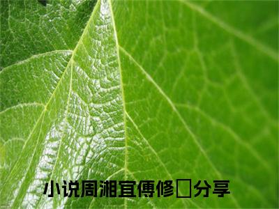 周湘宜傅修璟小说大结局免费阅读（周湘宜傅修璟）-完结版周湘宜傅修璟小说推荐