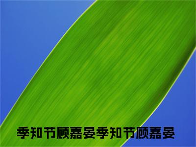 季知节顾嘉晏新书季知节顾嘉晏看全文小说-季知节顾嘉晏小说资源阅读季知节顾嘉晏