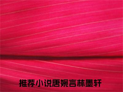 唐婉言林墨轩是哪部小说的主角，唐婉言林墨轩全文在线赏析