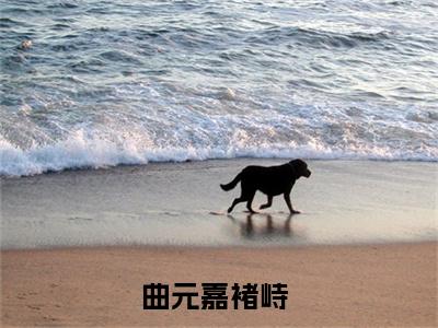 曲元嘉褚峙在线阅读（曲元嘉褚峙）全文免费阅读_曲元嘉褚峙最新章节列表_笔趣阁