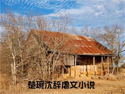 楚琬沈辞小说全文免费阅读 楚琬沈辞最新章节