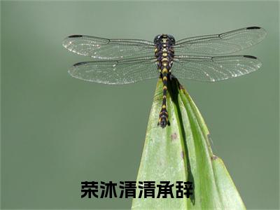 荣沐清清承辞小说全文免费阅读（荣沐清清承辞）全文免费阅读无弹窗_荣沐清清承辞小说全文免费阅读_笔趣阁（荣沐清清承辞）