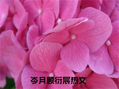 岑月顾衍宸是什么小说-岑月顾衍宸全文免费阅读无弹窗大结局（岑月顾衍宸）最新章节阅读