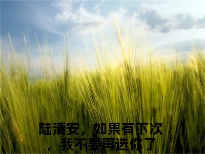 沈语嫣陆清安免费版最新更新阅读-陆清安，如果有下次，我不要再选你了小说全文在线阅读