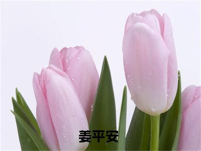 姜平安小说免费阅读姜平安小说在哪里可以看