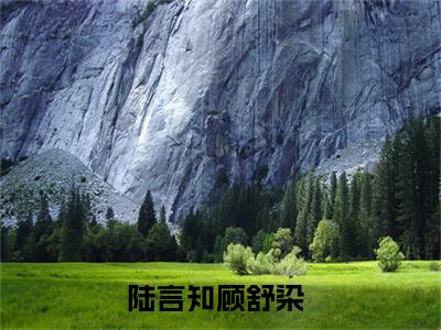 陆言知顾舒染完整版（陆言知顾舒染小说）全文免费阅读无弹窗大结局_陆言知顾舒染最新章节（陆言知顾舒染全文）